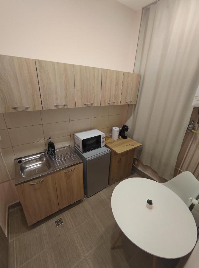 Lovely In The Heart Of The Appartement Timişoara